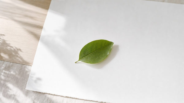 買う前に聞く問いと届いてから聞く問いの分け方｜注文の前に送る問いと、箱を開けてから送る問い